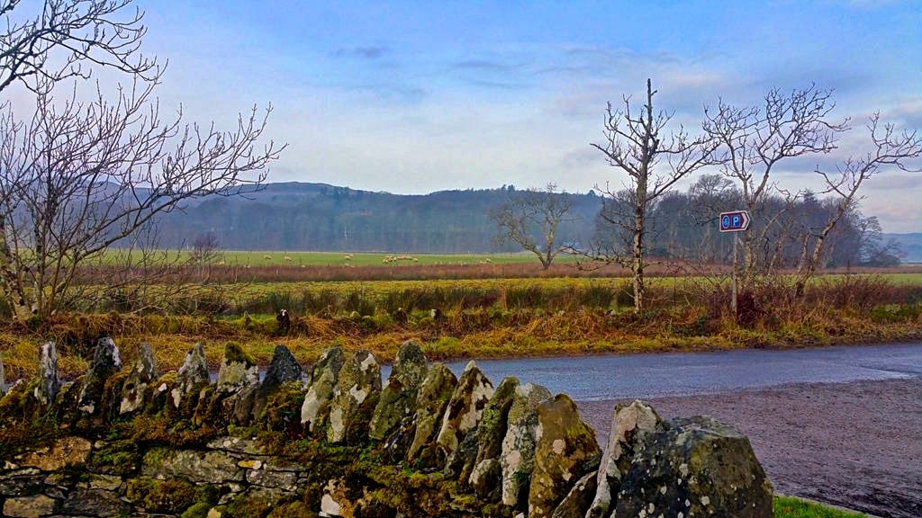 Road with Rocks and Field